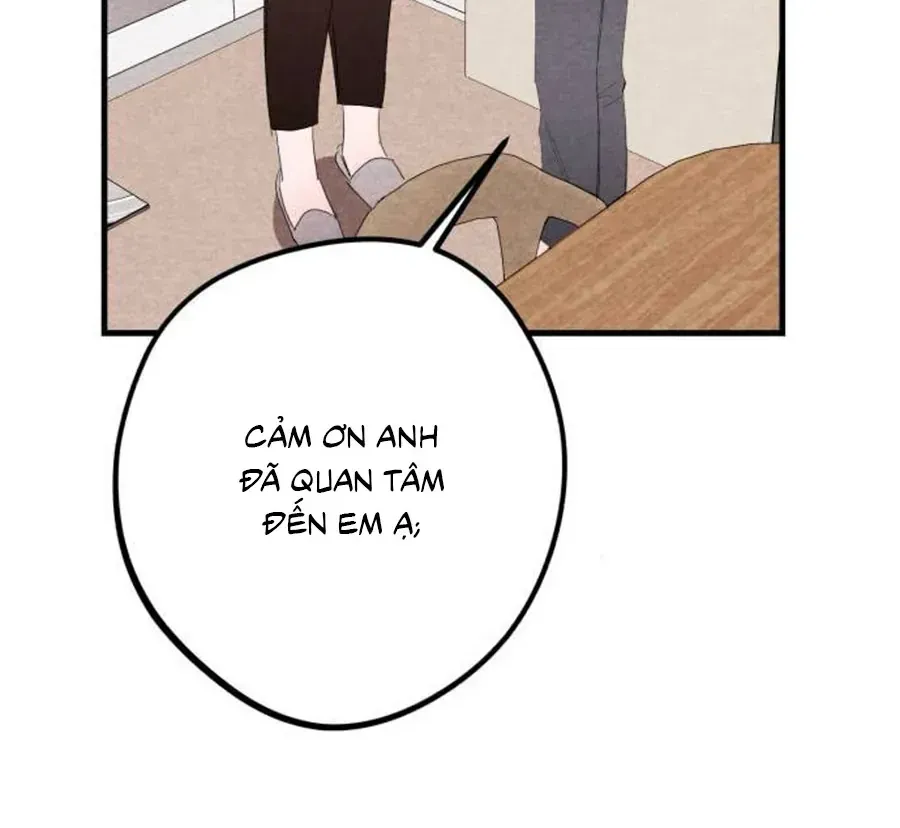 Chapter 26 - Trang 25