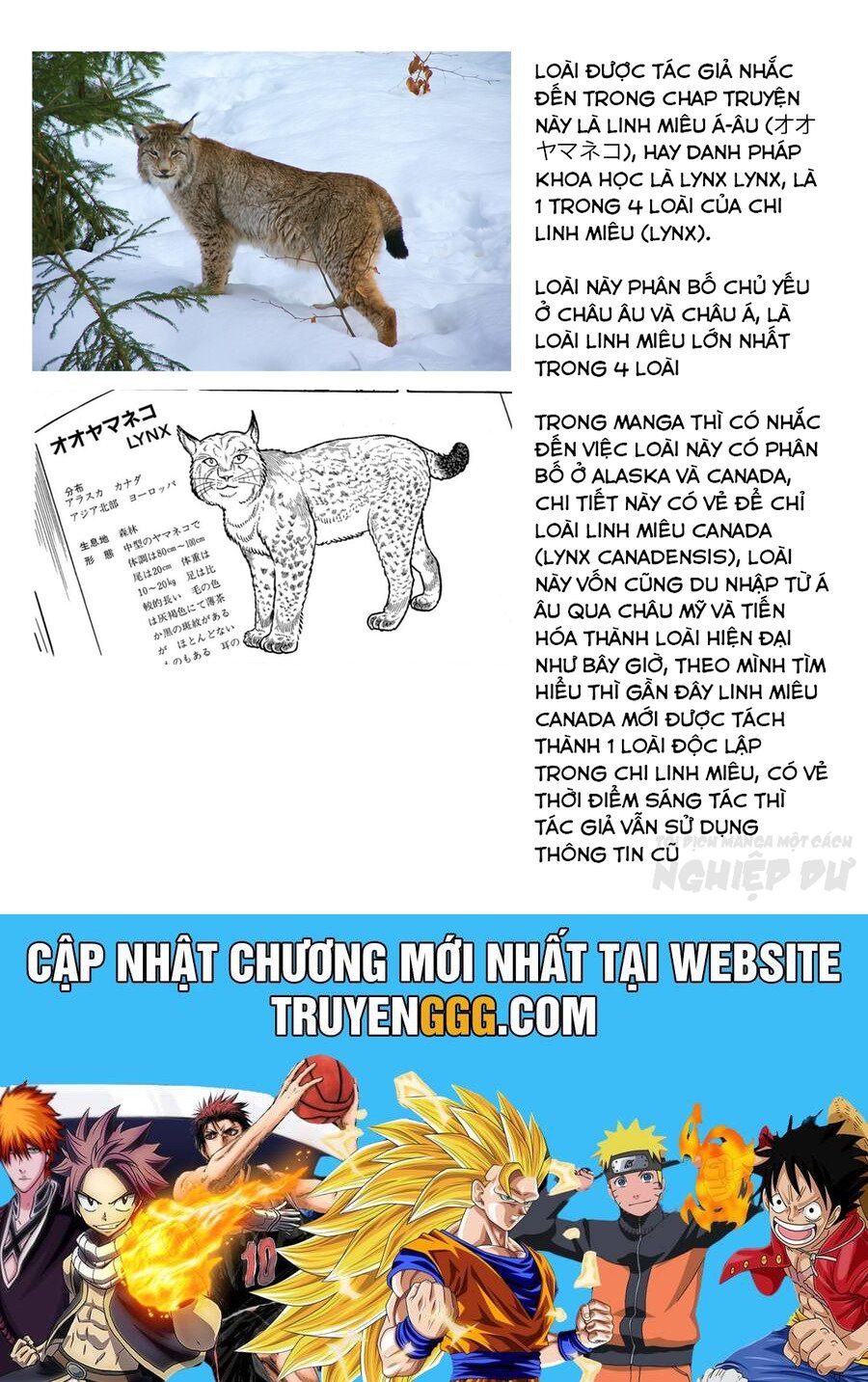 Chương 3 - Trang 22