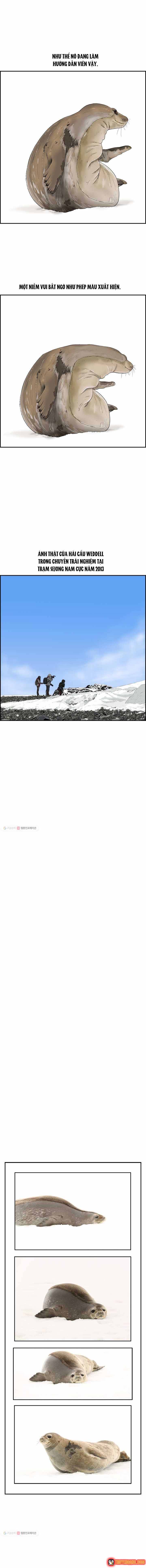 Chương 30 - Trang 8