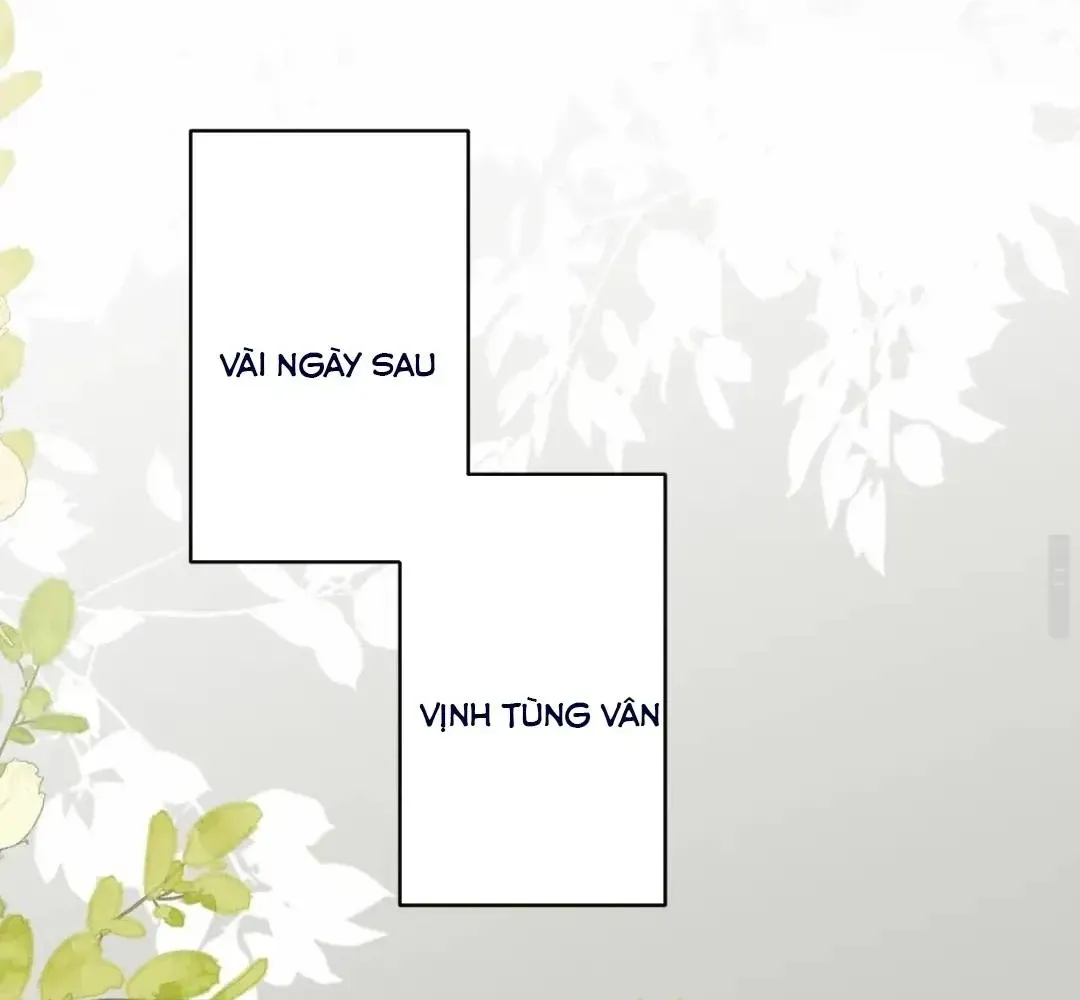 Cám dỗ dịu dàng - thâm tình - Chap 55 - Trang 39