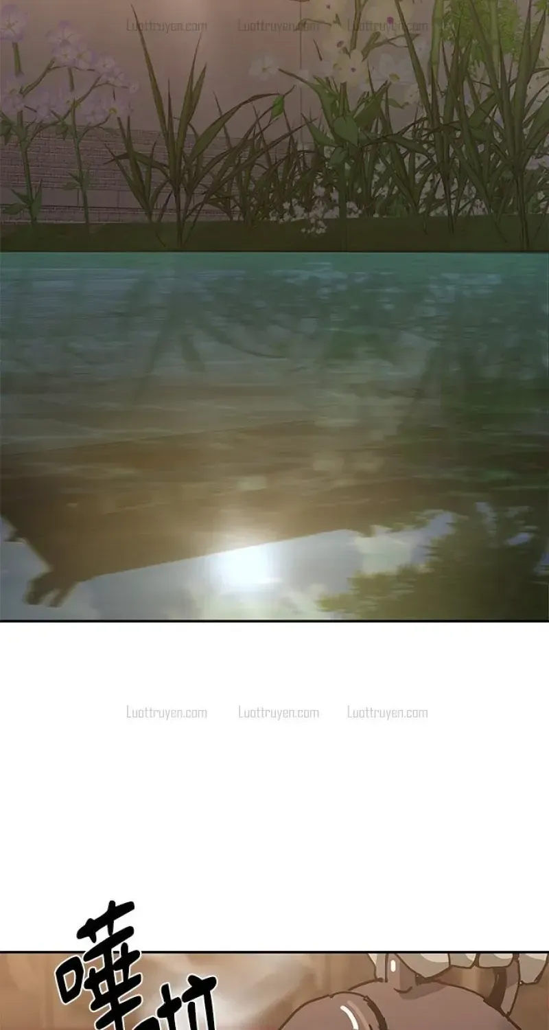 Chapter 41 - Trang 43