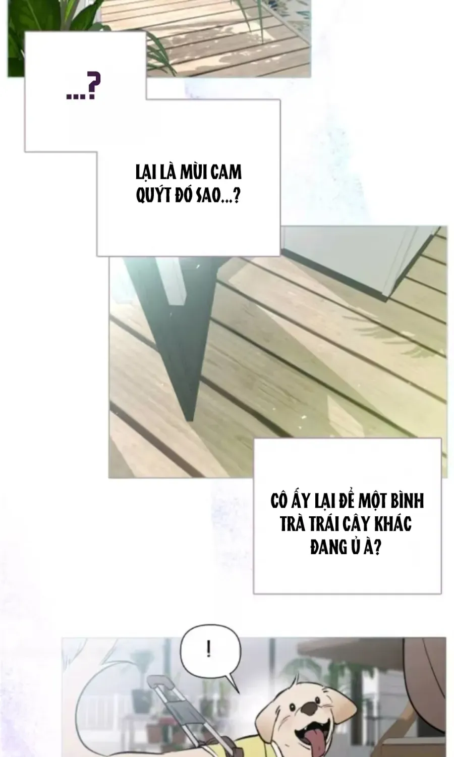 Cắn Xé Và Lừa Dối - Chap 2 - Trang 49