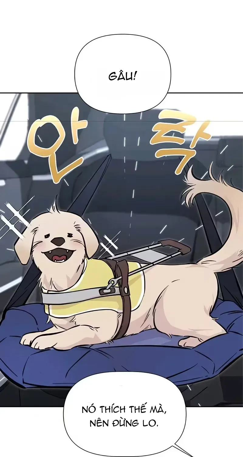 Cắn Xé Và Lừa Dối - Chap 4 - Trang 25