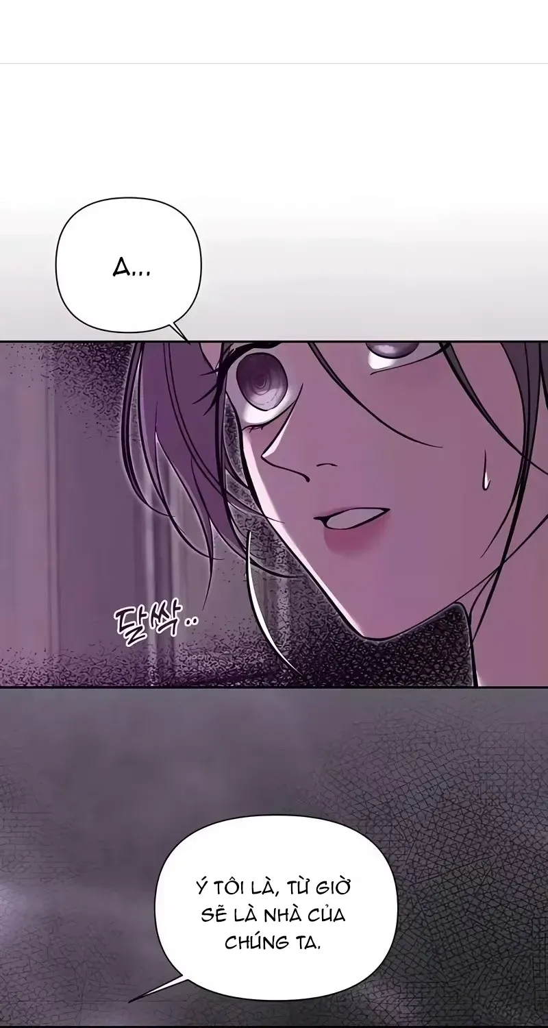 Cắn Xé Và Lừa Dối - Chap 4 - Trang 45
