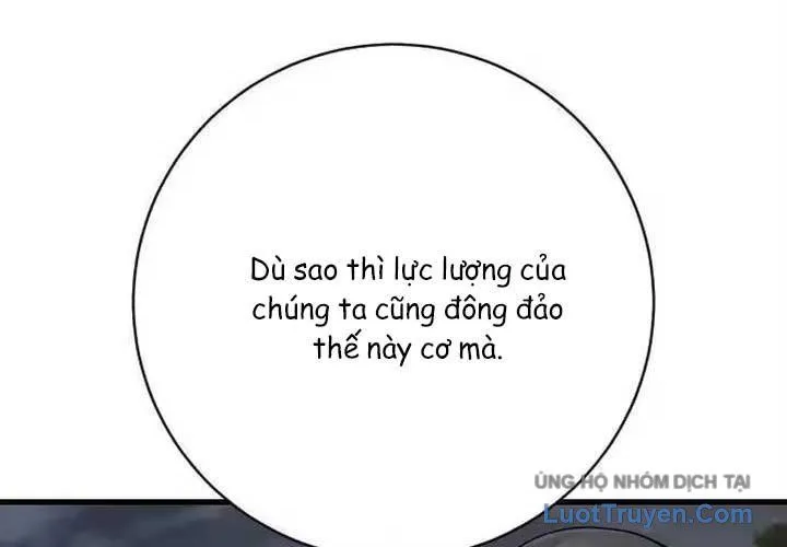 Chapter 133 - Trang 13
