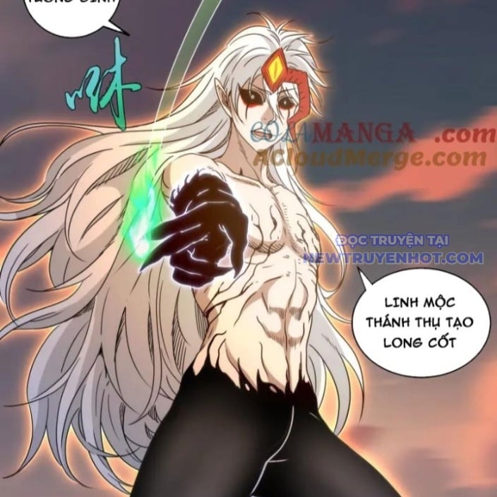 Chương 319 - Trang 17