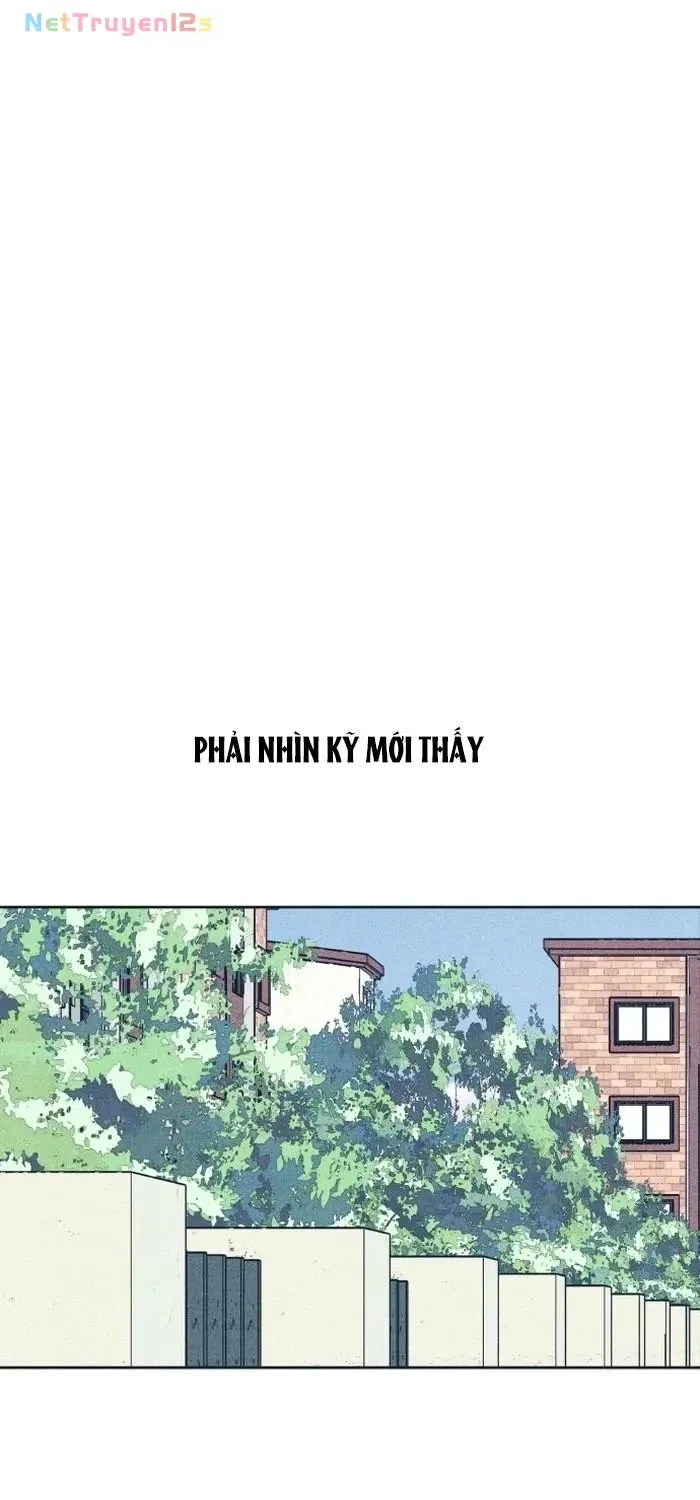 Chapter 101 - Trang 36