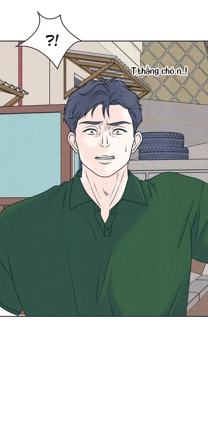 Chapter 105 - Trang 19