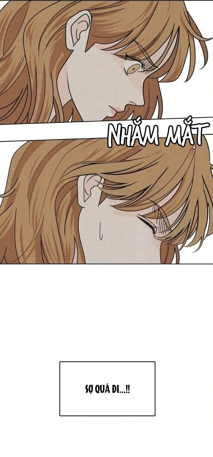 Chapter 113 - Trang 12