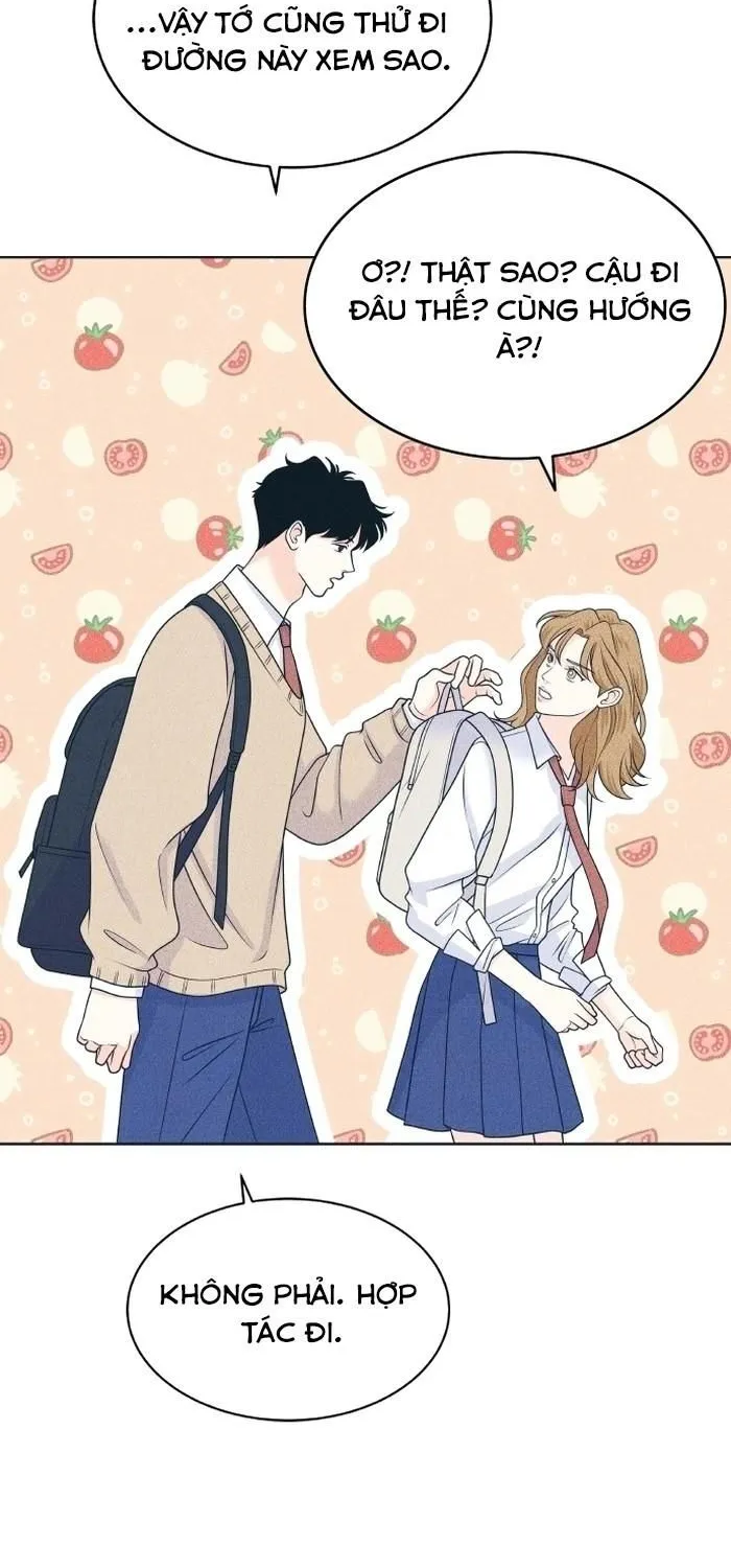 Chapter 113 - Trang 22