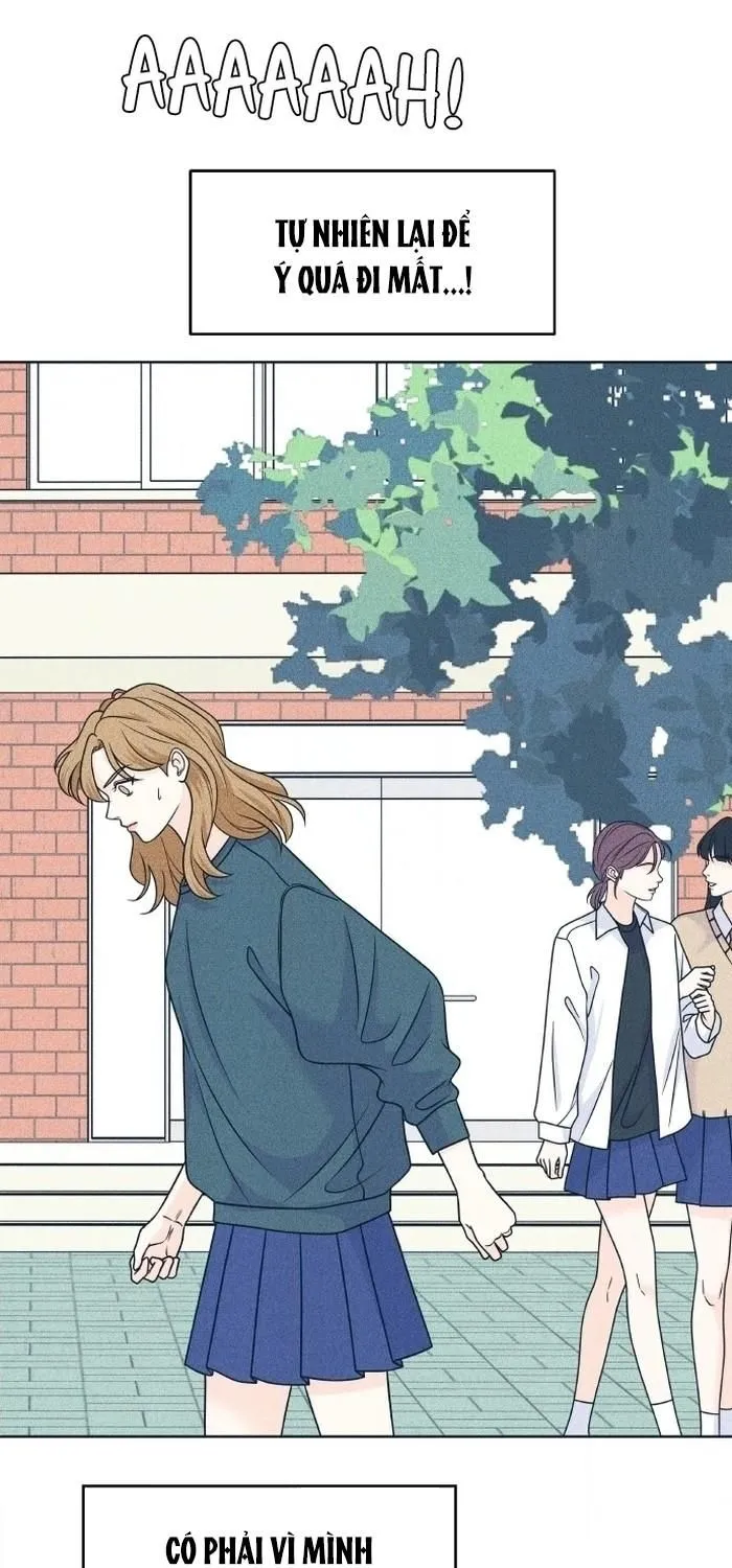 Chapter 113 - Trang 48