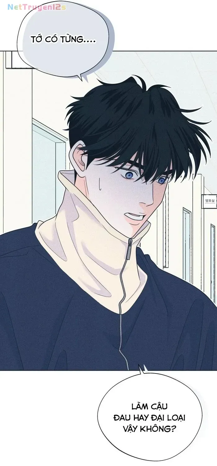 Chapter 152 - Trang 48