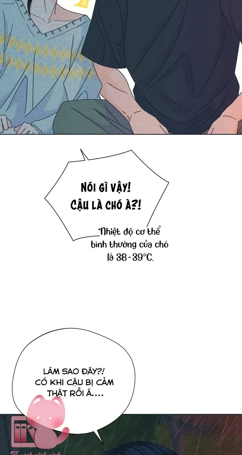 Chapter 162 - Trang 66