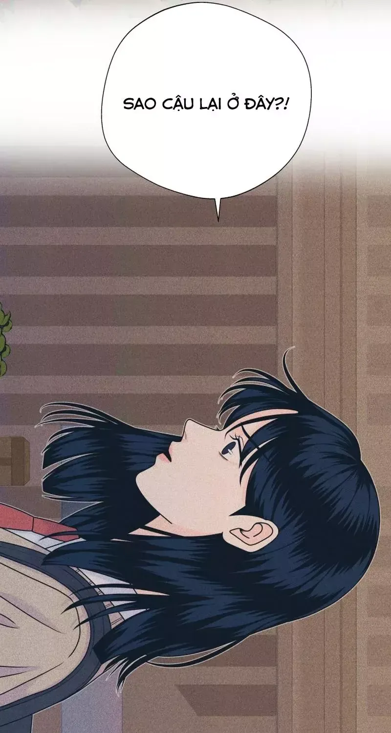 Chapter 164 - Trang 31
