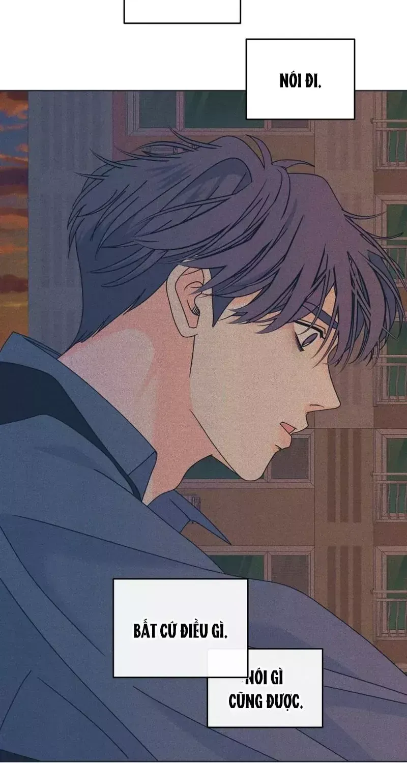 Chapter 164 - Trang 41