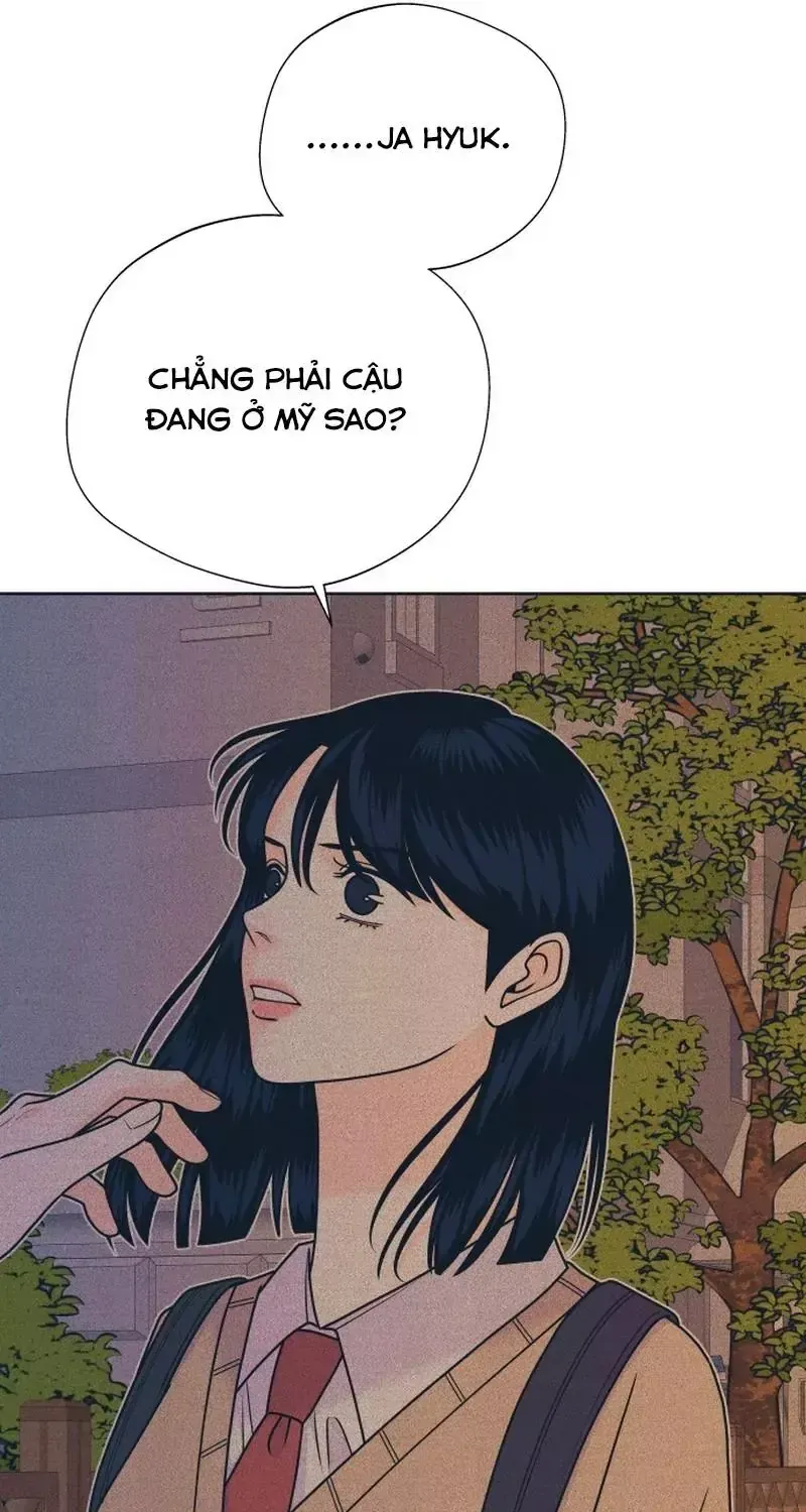 Chapter 164 - Trang 43