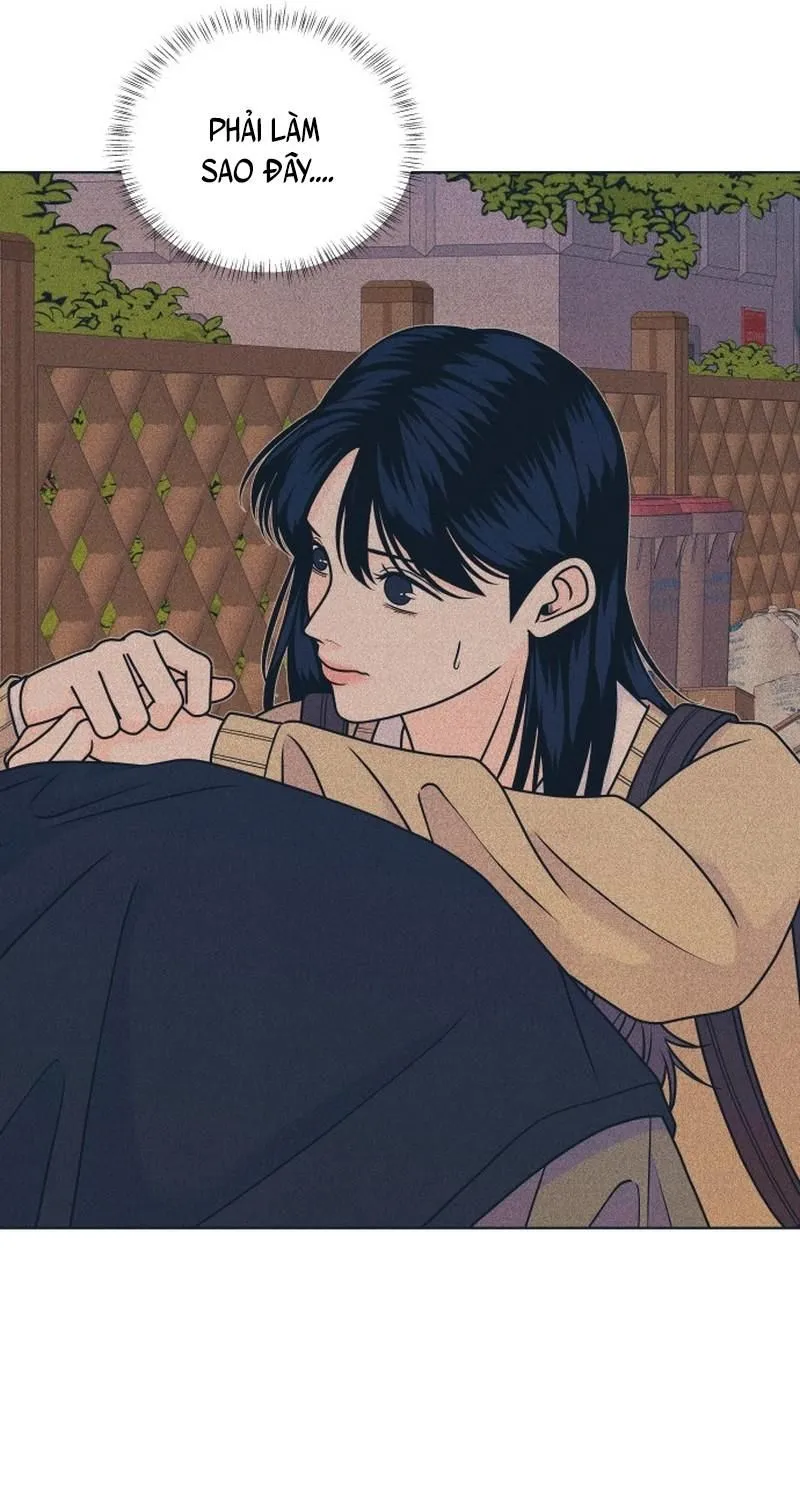 Chapter 165 - Trang 12