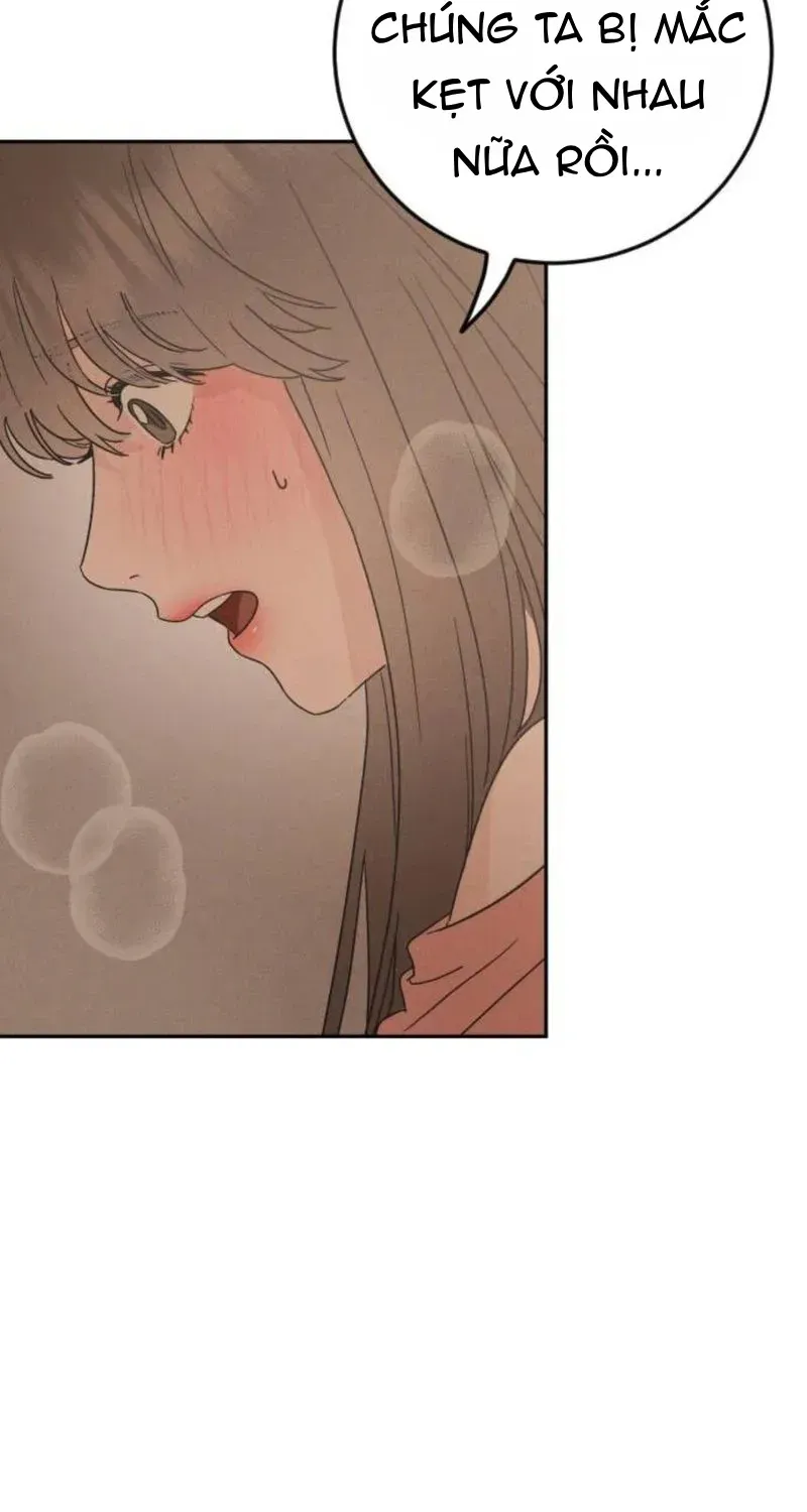 Chapter 2 - Trang 21