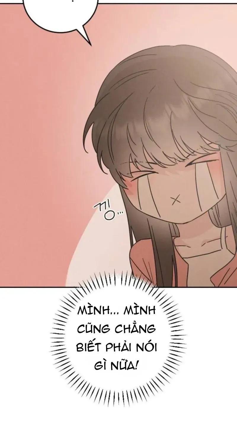 Chapter 2 - Trang 29