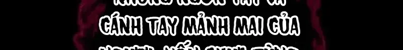 Chapter 1 - Trang 34
