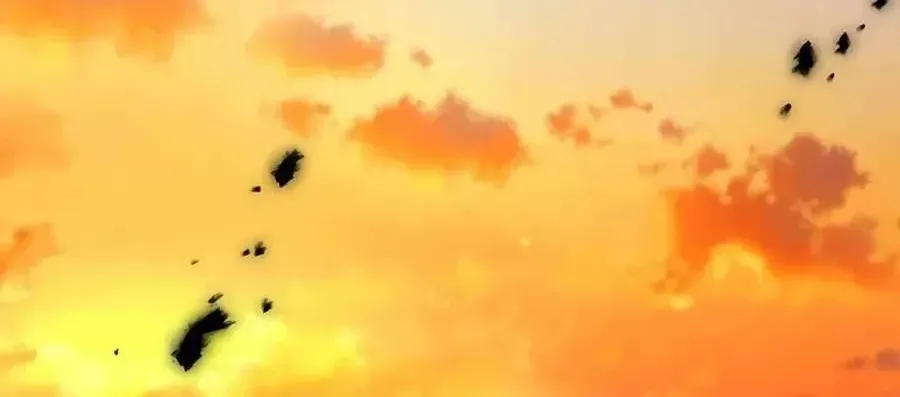 Chapter 20 - Trang 3