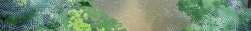 Chapter 3 - Trang 60