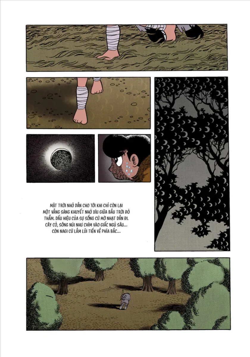 Chapter 1.3 - Trang 3