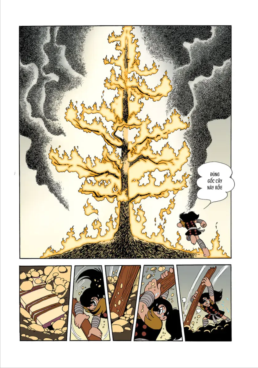 Chapter 1.6 - Trang 23