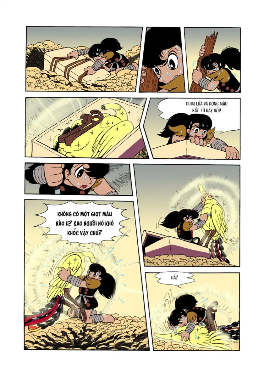 Chapter 1.6 - Trang 24