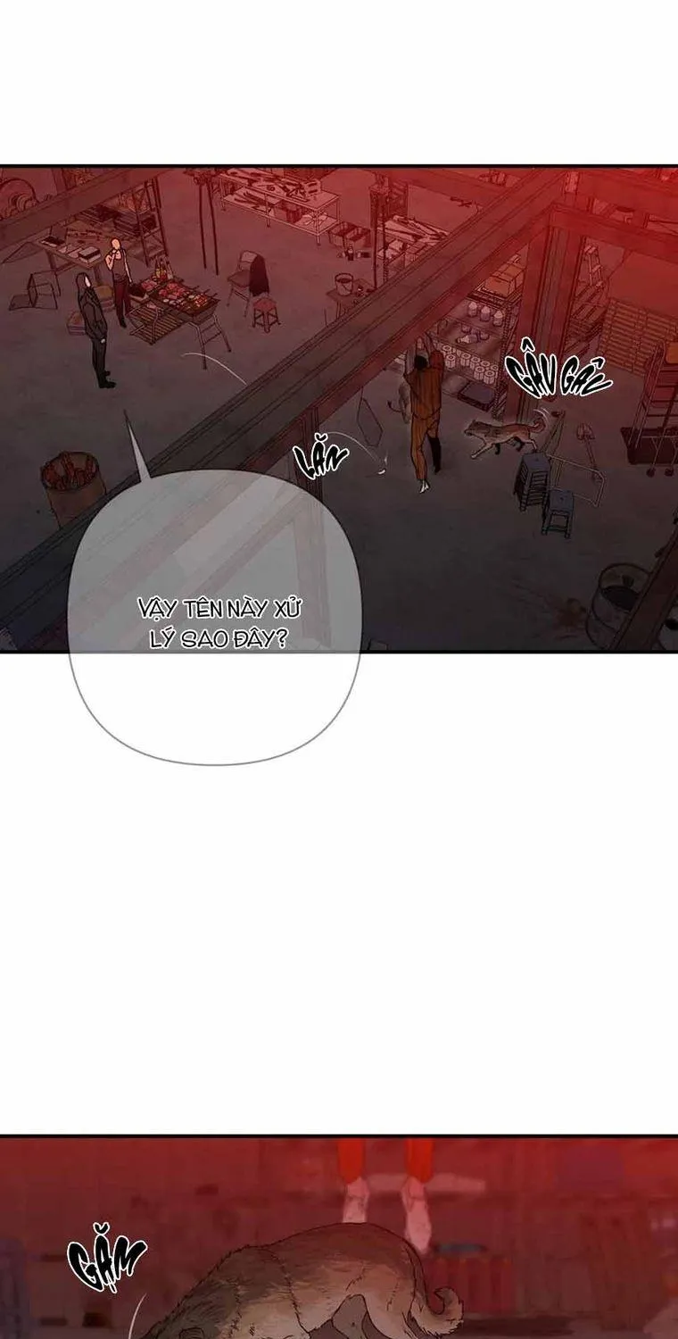 Chapter 3 - Trang 20