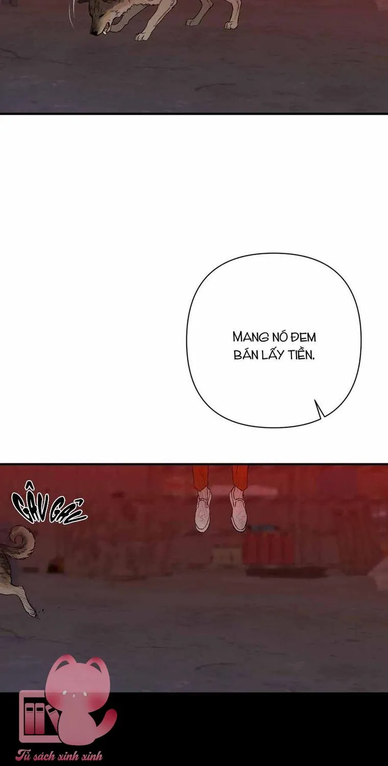 Chapter 3 - Trang 21