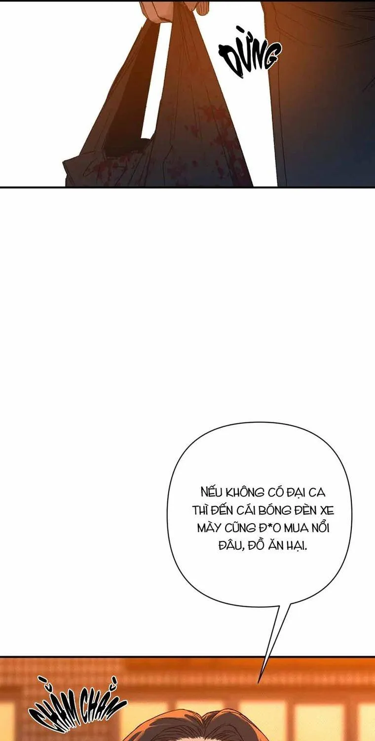 Chapter 3 - Trang 6