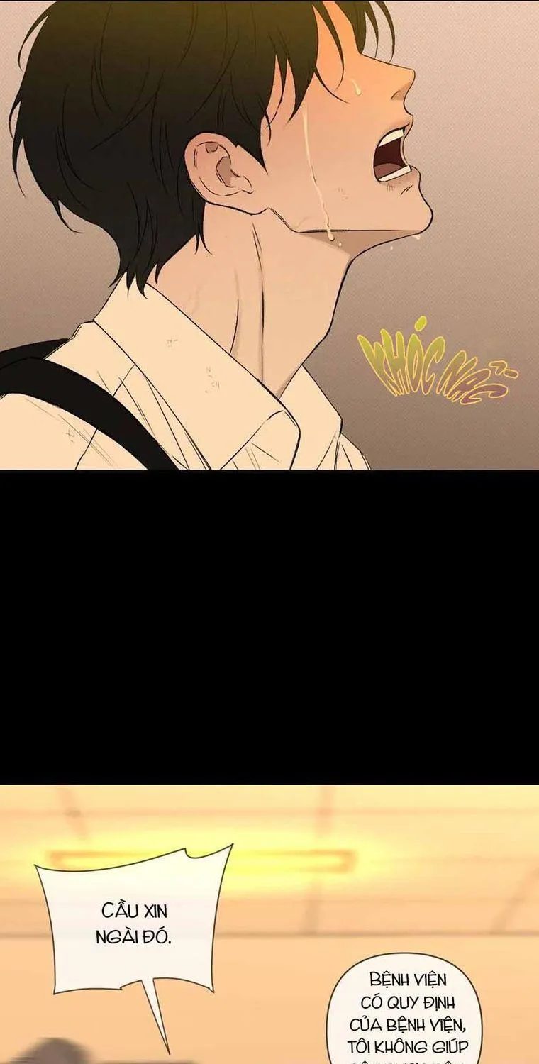 Chapter 3 - Trang 60