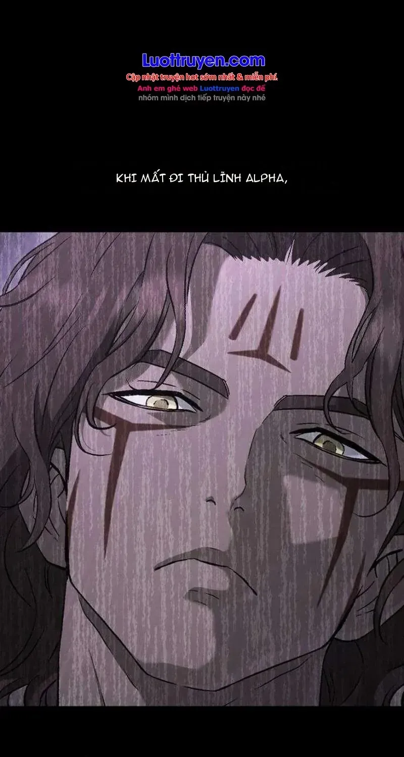 Chapter 8 - Trang 115