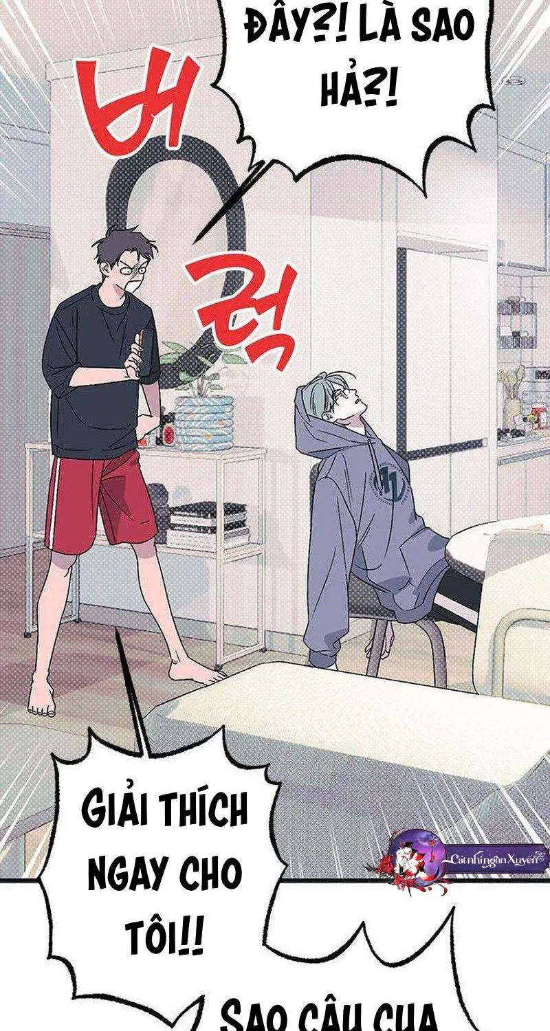 Chapter 12 - Trang 42