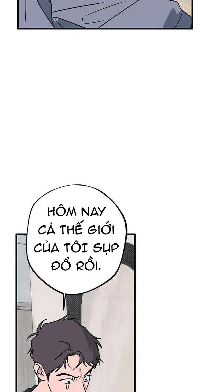 Chapter 12 - Trang 46