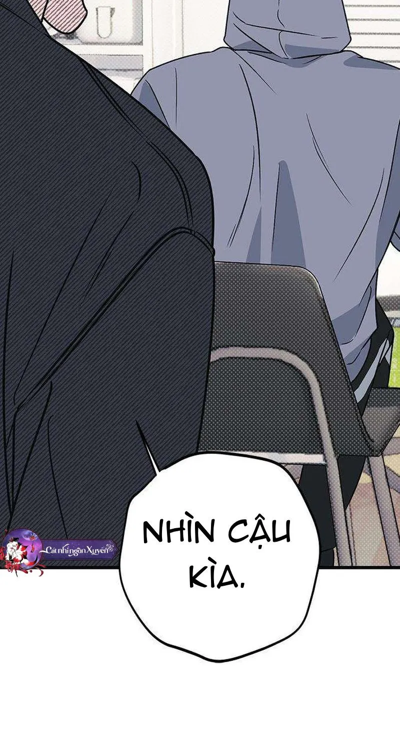 Chapter 12 - Trang 54