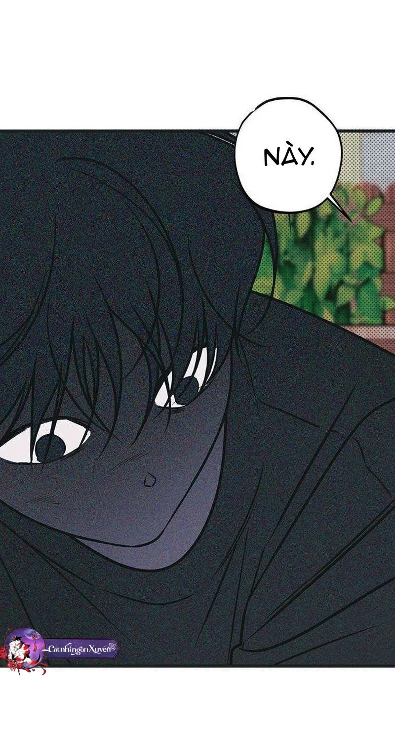 Chapter 13 - Trang 36
