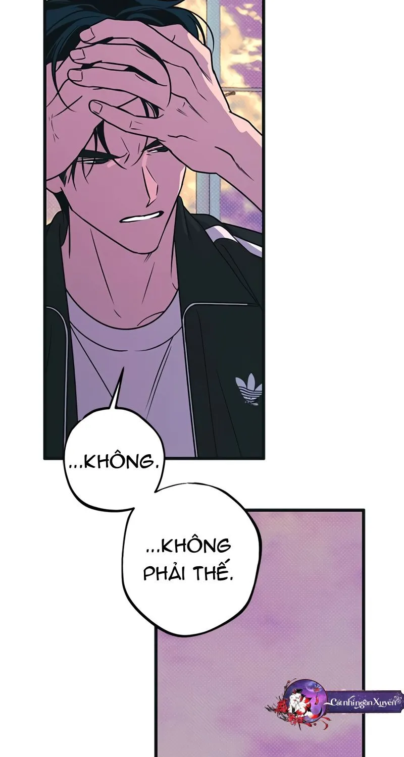 Chapter 15 - Trang 36