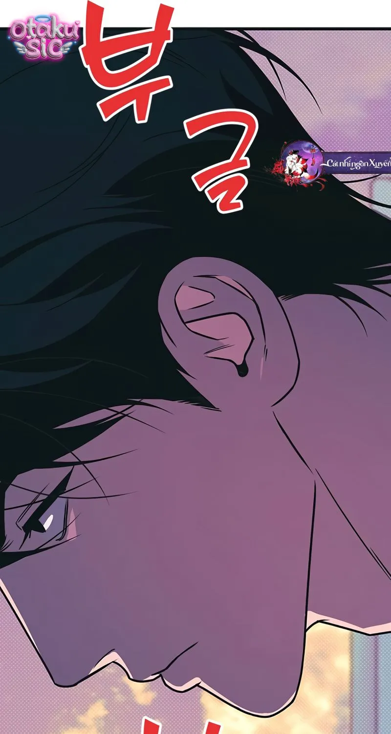Chapter 15 - Trang 43
