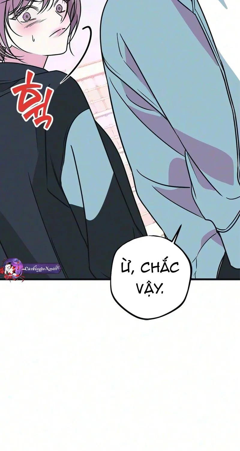 Chapter 16 - Trang 42