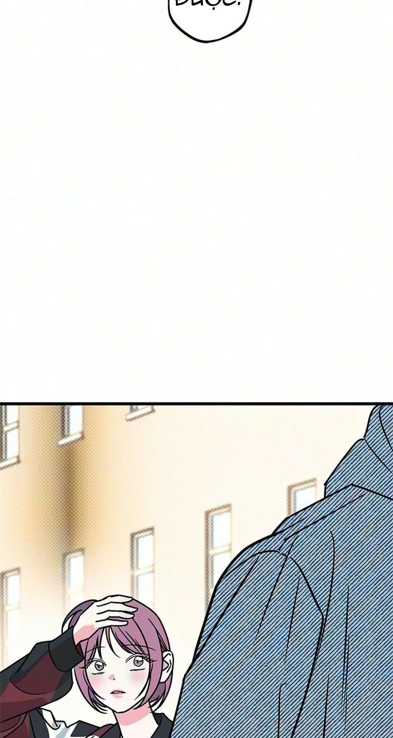 Chapter 16 - Trang 54