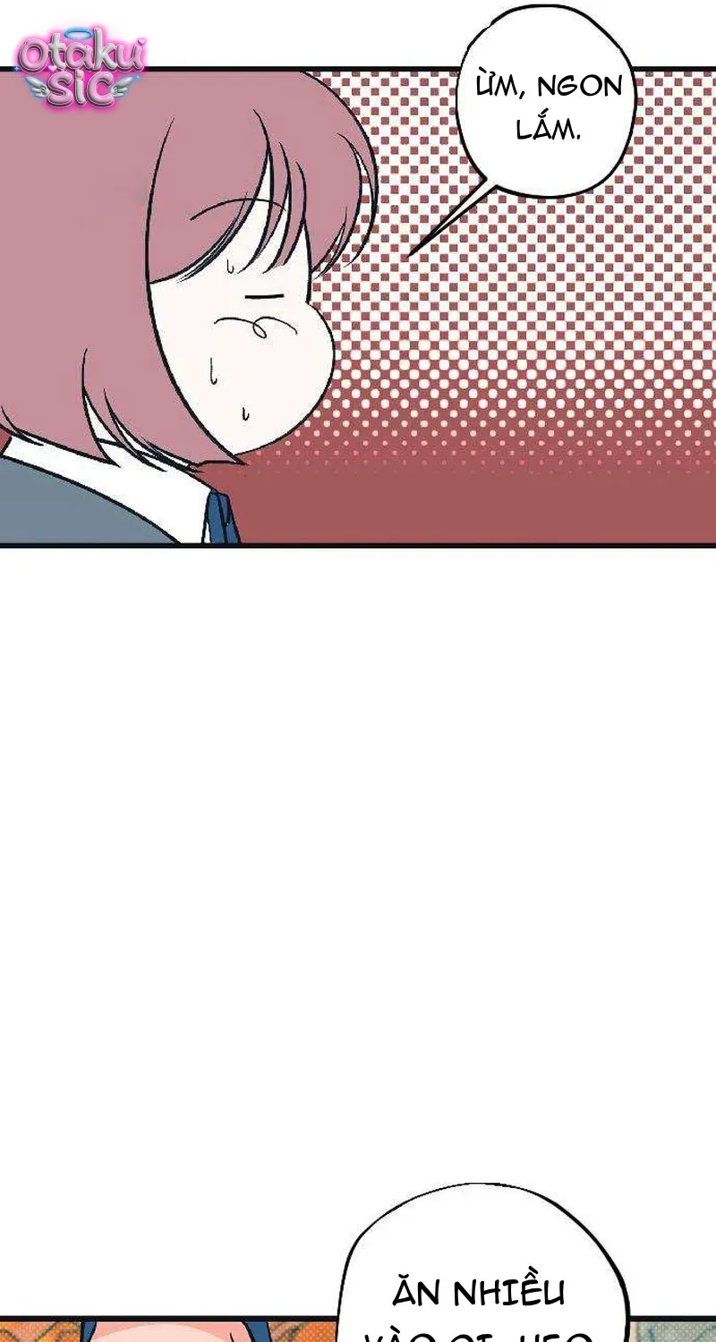 Chapter 2 - Trang 113