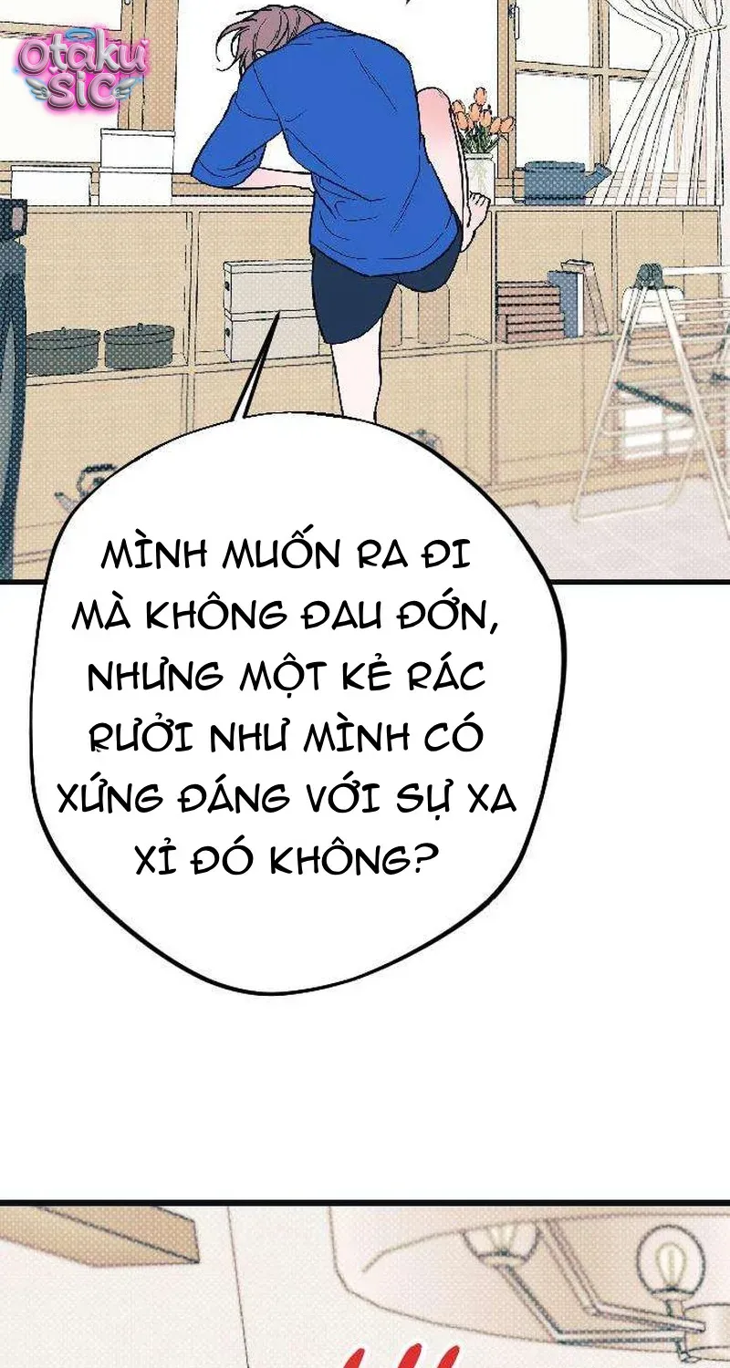 Chapter 2 - Trang 37