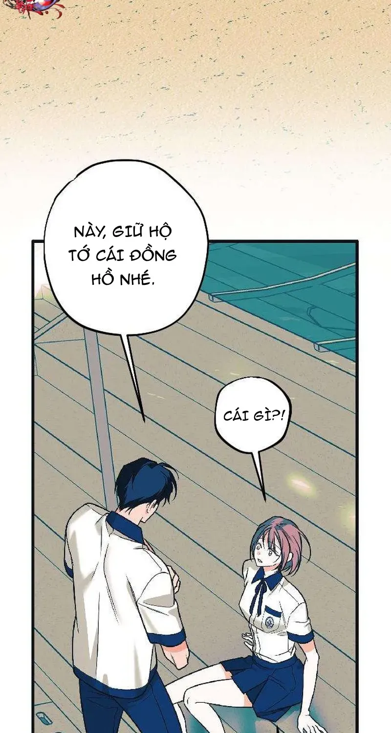 Chapter 2 - Trang 8