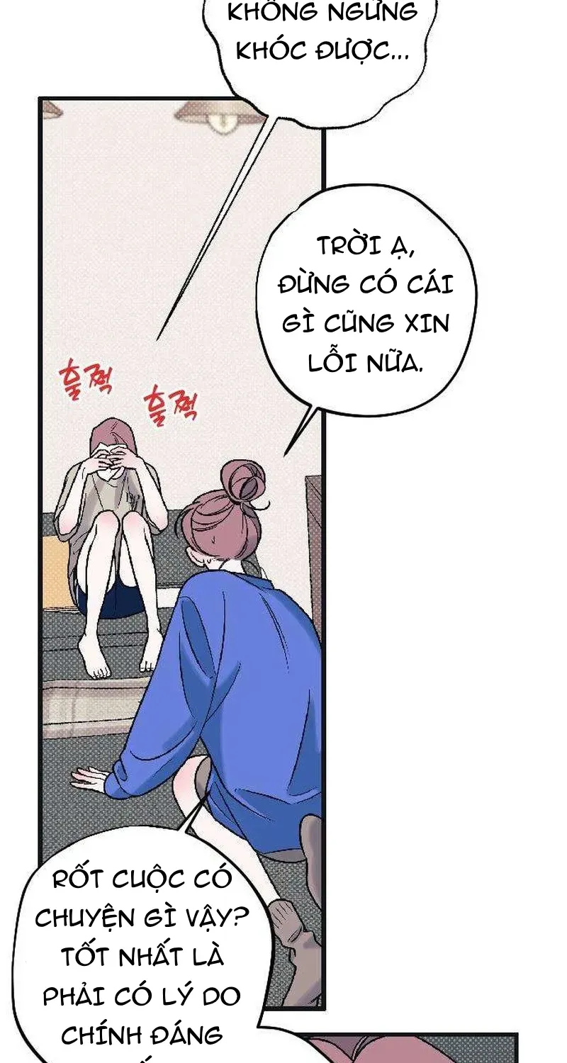 Chapter 3 - Trang 5