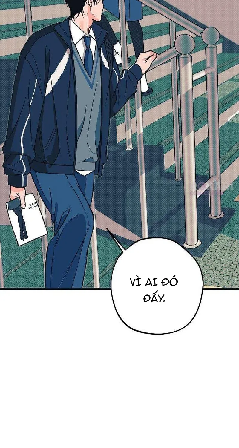 Chapter 3 - Trang 47