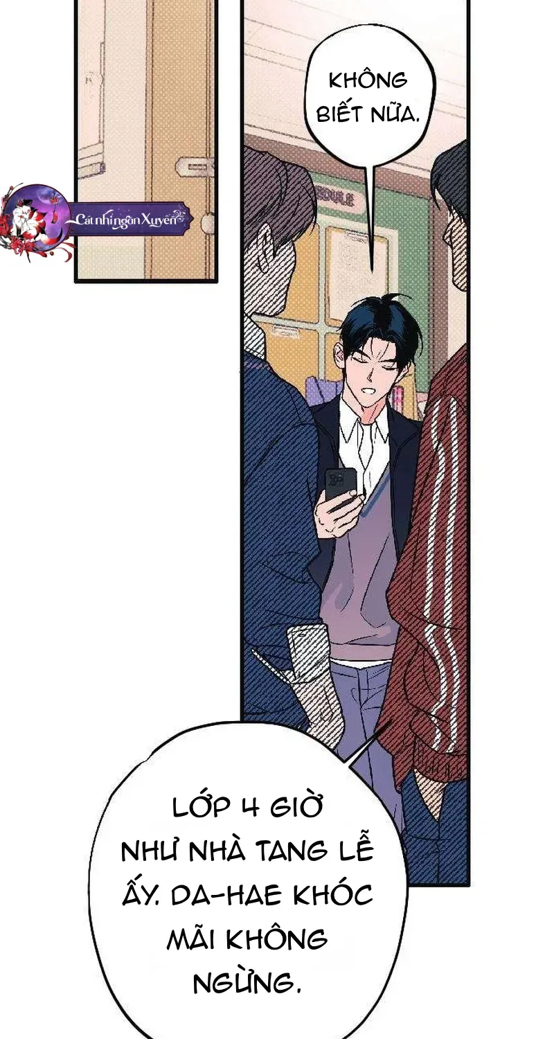 Chapter 5 - Trang 15