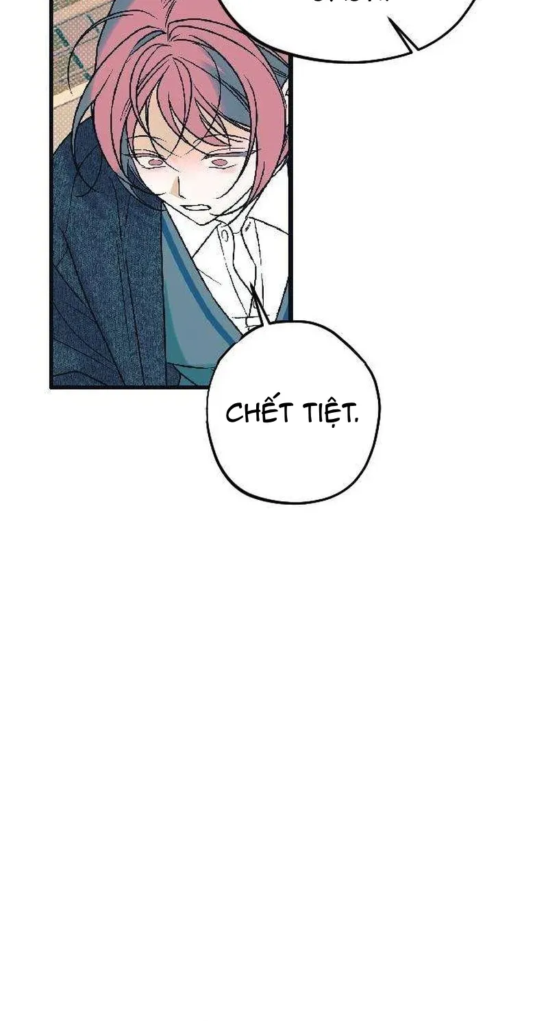 Chapter 5 - Trang 39