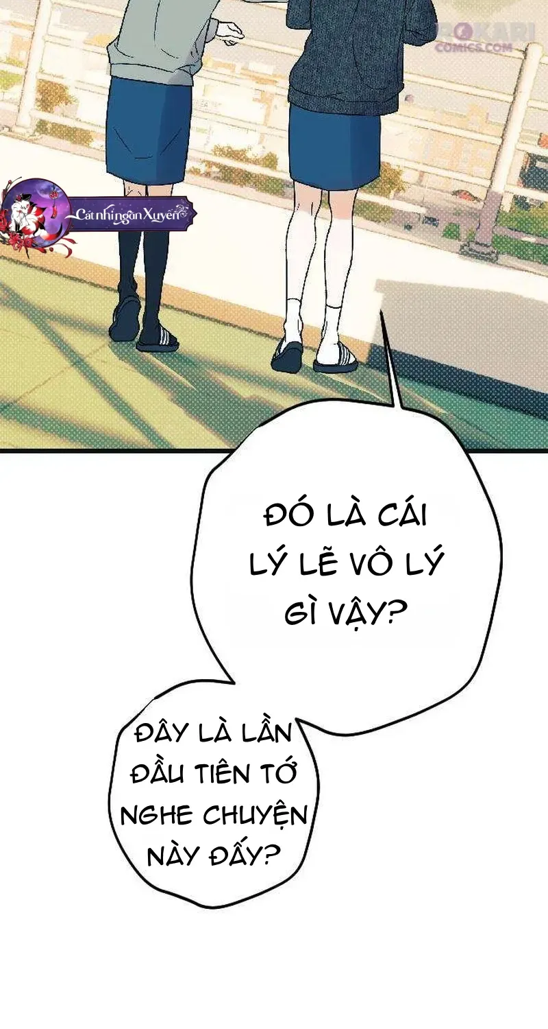 Chapter 5 - Trang 41